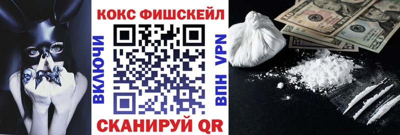 Купить закладки  Курган  Cocaine Columbia 