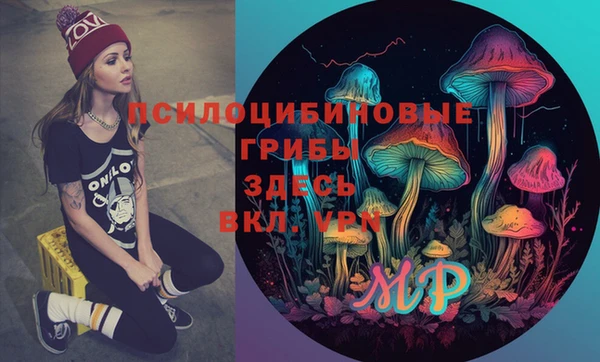 mdpv Верхний Тагил